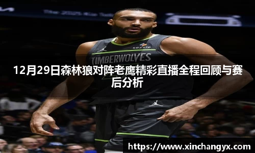 12月29日森林狼对阵老鹰精彩直播全程回顾与赛后分析